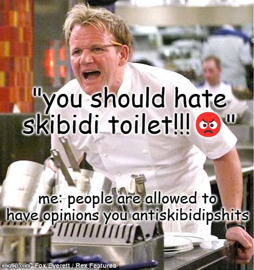 Chef Gordon Ramsay Meme | "you should hate skibidi toilet!!!😡"; me: people are allowed to have opinions you antiskibidipshits | image tagged in memes,chef gordon ramsay | made w/ Imgflip meme maker