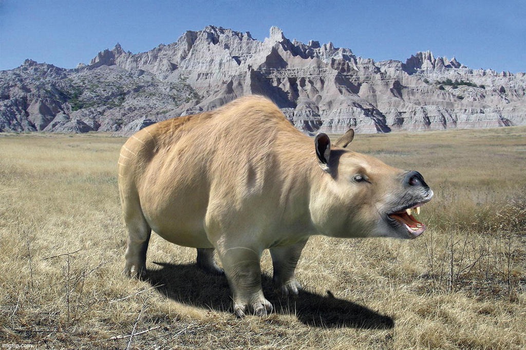 Toxodon platensis, Notoungulate, entire South American order went extinct because the glaciers melted in North America, derp | image tagged in toxodon platensis,notoungulate,south america,prehistoric | made w/ Imgflip meme maker