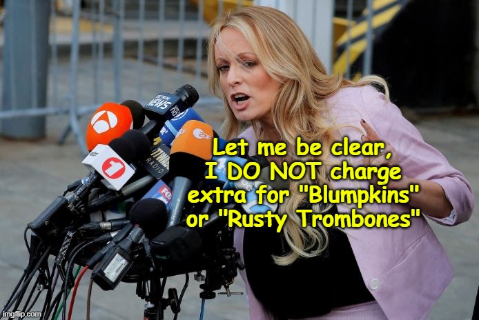 Up next after "Pecker" yet another pillar of the community | Let me be clear, I DO NOT charge extra for "Blumpkins" or "Rusty Trombones" | image tagged in stormy daniels head witness meme | made w/ Imgflip meme maker
