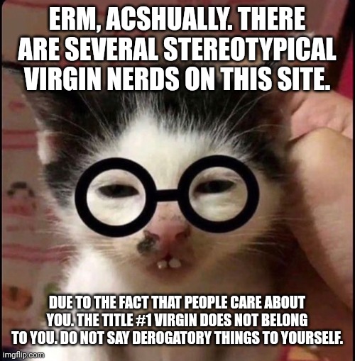 ERM!! ACTUALLY | ERM, ACSHUALLY. THERE ARE SEVERAL STEREOTYPICAL VIRGIN NERDS ON THIS SITE. DUE TO THE FACT THAT PEOPLE CARE ABOUT YOU. THE TITLE #1 VIRGIN D | image tagged in erm actually | made w/ Imgflip meme maker