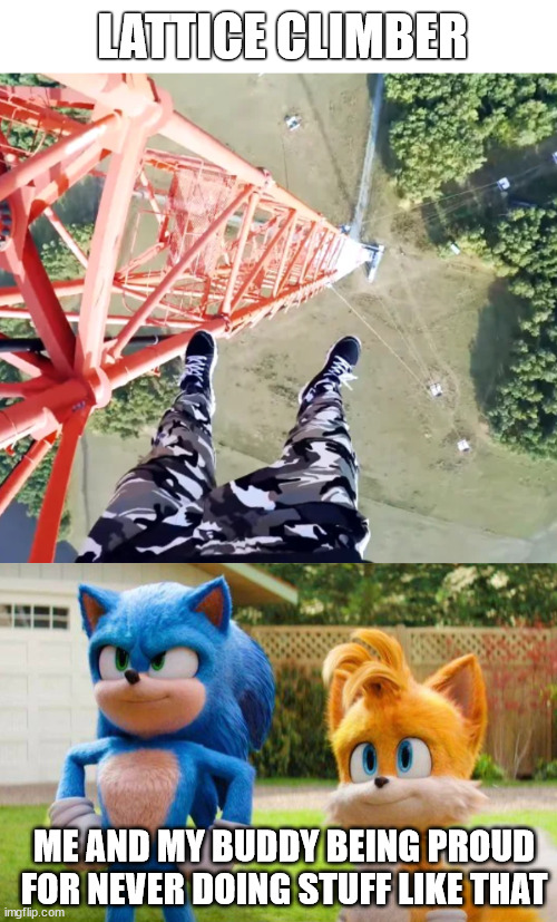 Lattice Climbing, don't do this | LATTICE CLIMBER; ME AND MY BUDDY BEING PROUD FOR NEVER DOING STUFF LIKE THAT | image tagged in lattice climbing,meme,climbing,sonic the hedgehog,template,tails | made w/ Imgflip meme maker