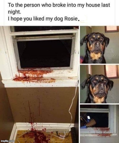 Rosie | image tagged in burglar | made w/ Imgflip meme maker