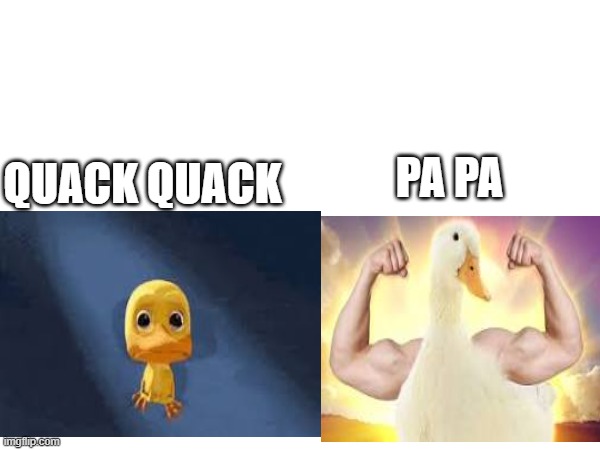 this is the true sound of duck | PA PA; QUACK QUACK | image tagged in this,is,true,sound,duck,memes | made w/ Imgflip meme maker