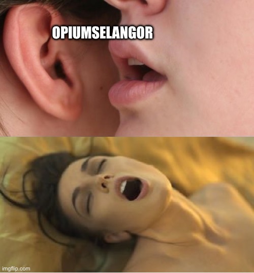 Whisper orgasm | OPIUMSELANGOR | image tagged in whisper orgasm | made w/ Imgflip meme maker