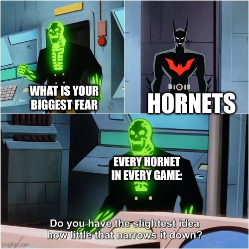 Do You Have the Slightest Idea How Little That Narrows It Down? | HORNETS WHAT IS YOUR BIGGEST FEAR EVERY HORNET IN EVERY GAME: | image tagged in do you have the slightest idea how little that narrows it down | made w/ Imgflip meme maker