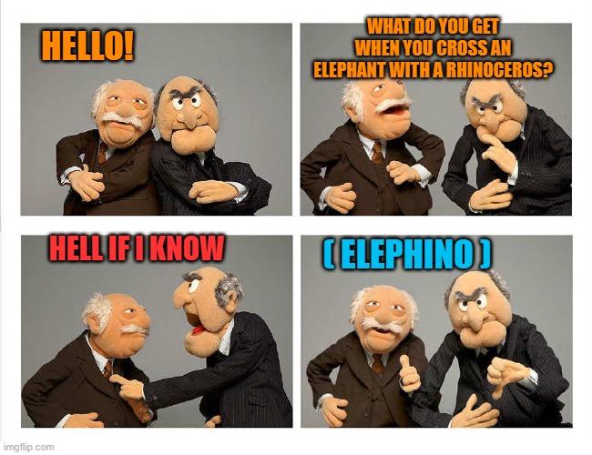four panel | WHAT DO YOU GET WHEN YOU CROSS AN ELEPHANT WITH A RHINOCEROS? HELLO! HELL IF I KNOW; ( ELEPHINO ) | image tagged in four panel | made w/ Imgflip meme maker