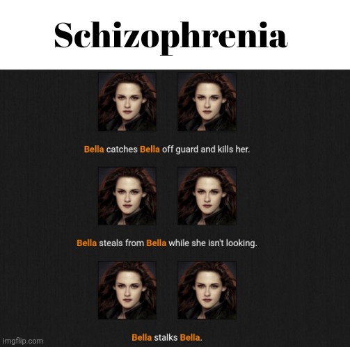 I don't know what to put here lol | Schizophrenia | image tagged in memes,funny,hunger games,twilight,bella swan,schizophrenia | made w/ Imgflip meme maker
