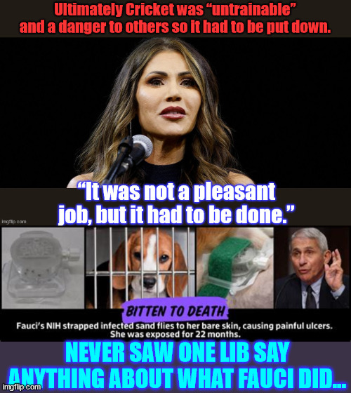 Crickets | NEVER SAW ONE LIB SAY ANYTHING ABOUT WHAT FAUCI DID... | image tagged in liberal hypocrisy,crickets,fauci tortured beagles | made w/ Imgflip meme maker
