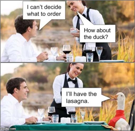 Menu Choices | image tagged in dining,menu,choices,duck,lasagna | made w/ Imgflip meme maker