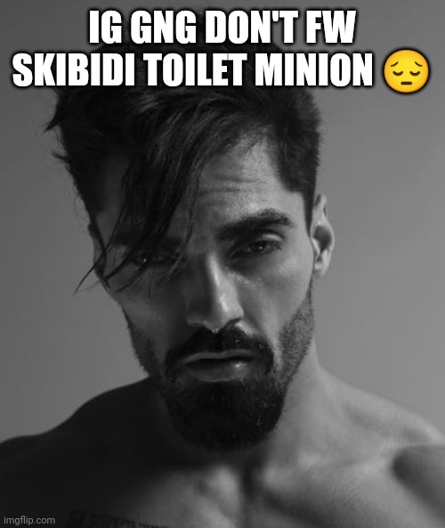 i don't actually listen to it btw, i normally listen to shoegaze or sumthin | IG GNG DON'T FW SKIBIDI TOILET MINION 😔 | made w/ Imgflip meme maker