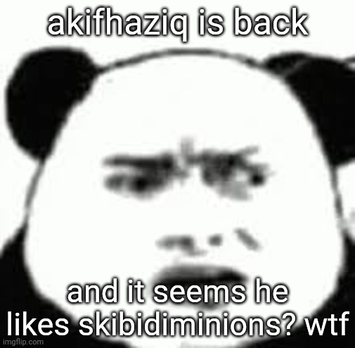 i must be high | akifhaziq is back; and it seems he likes skibidiminions? wtf | image tagged in confused chinese bear | made w/ Imgflip meme maker