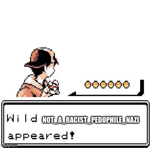 NOT_A_RACIST_PEDOPHILE_NAZI | image tagged in blank wild pokemon appears | made w/ Imgflip meme maker