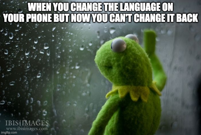 kermit window | WHEN YOU CHANGE THE LANGUAGE ON YOUR PHONE BUT NOW YOU CAN'T CHANGE IT BACK | image tagged in kermit window | made w/ Imgflip meme maker