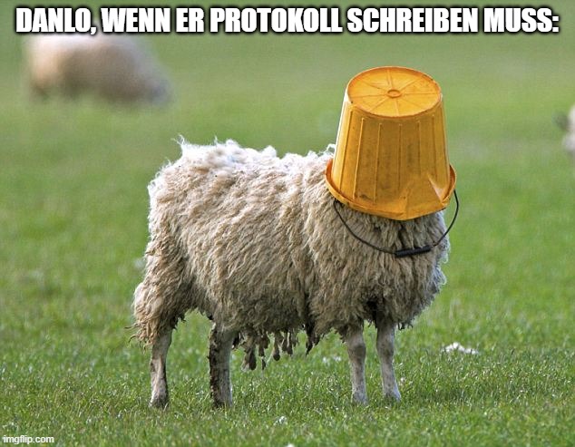 stupid sheep | DANLO, WENN ER PROTOKOLL SCHREIBEN MUSS: | image tagged in stupid sheep | made w/ Imgflip meme maker