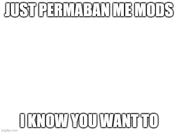 JUST PERMABAN ME MODS; I KNOW YOU WANT TO | made w/ Imgflip meme maker
