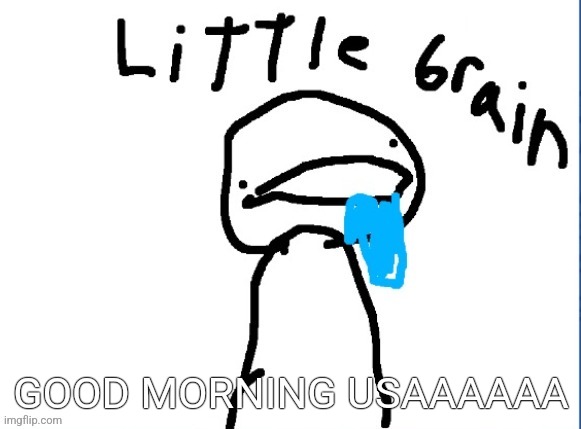 Little brain | GOOD MORNING USAAAAAA | image tagged in little brain | made w/ Imgflip meme maker