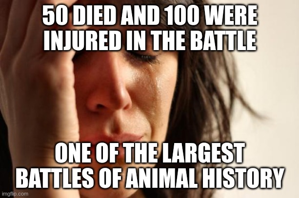 50 DIED AND 100 WERE INJURED IN THE BATTLE ONE OF THE LARGEST BATTLES OF ANIMAL HISTORY | image tagged in memes,first world problems | made w/ Imgflip meme maker