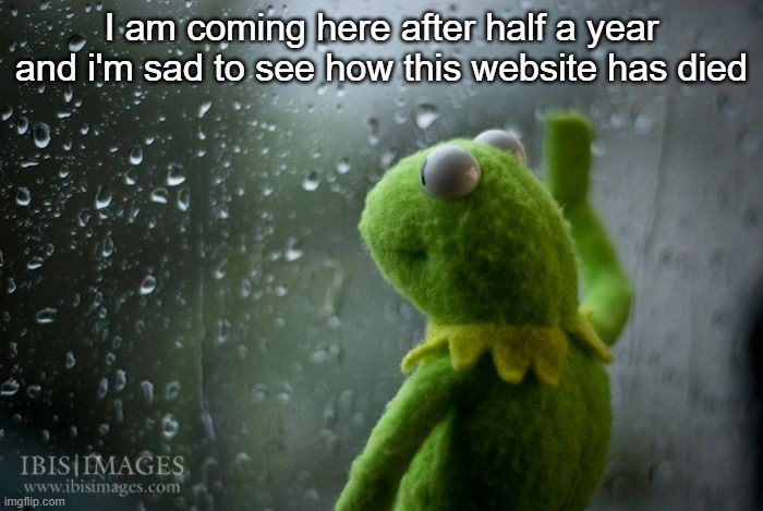 I guess thats it | I am coming here after half a year and i'm sad to see how this website has died | image tagged in kermit window,dead,imgflip,important | made w/ Imgflip meme maker