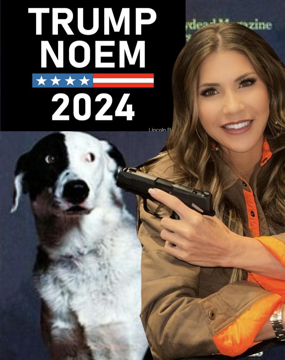 High Quality Vote Noem or dog gets it Blank Meme Template