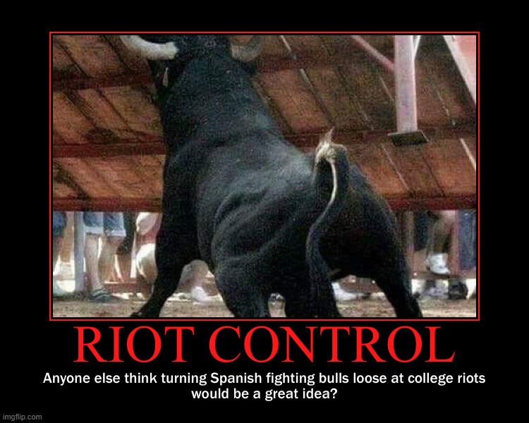 Riot Control | image tagged in college riots,israel,hamas,crowd control,spanish bulls,spanish inquisition | made w/ Imgflip meme maker