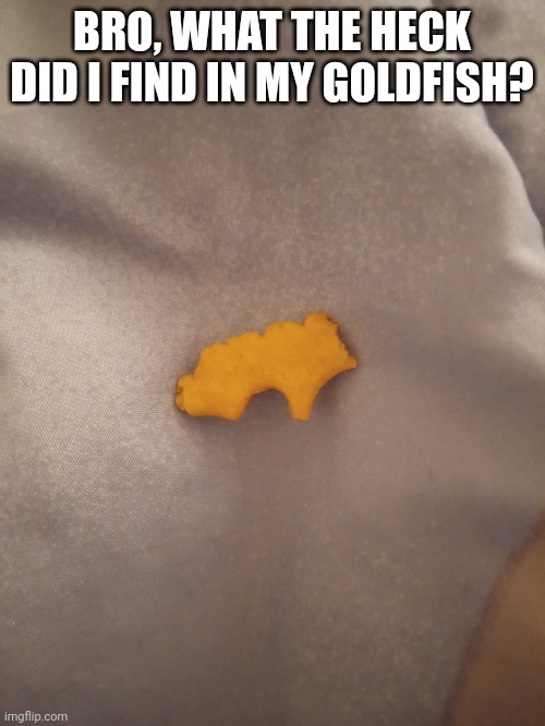 BRO, WHAT THE HECK DID I FIND IN MY GOLDFISH? | made w/ Imgflip meme maker