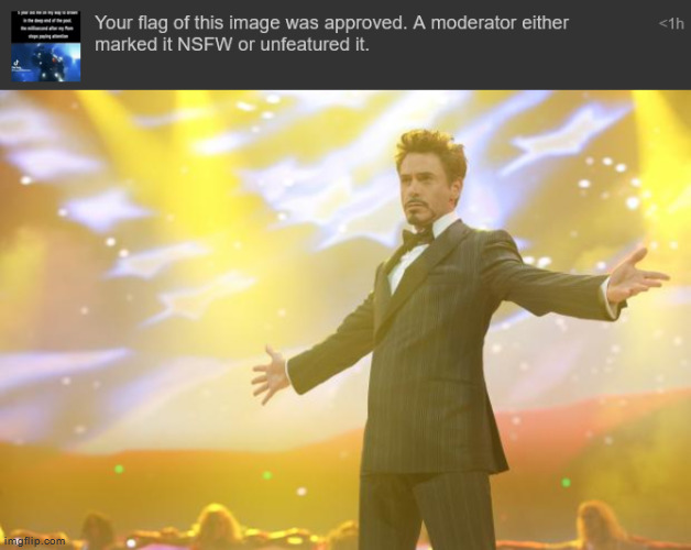 Yet another fun stream repost taken down | image tagged in tony stark success | made w/ Imgflip meme maker