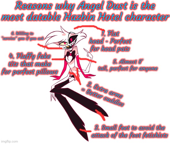 Top six reasons why Angel Dust is the most datable Hazbin Hotel character | Reasons why Angel Dust is the most datable Hazbin Hotel character; 1. Flat head - Perfect for head pats; 6. Willing to "service" you if you ask; 4. Fluffy fake tits that make for perfect pillows; 5. Almost 8' tall, perfect for anyone; 2. Extra arms = Better cuddles; 3. Small feet to avoid the attack of the foot fetishists | image tagged in memes,blank transparent square | made w/ Imgflip meme maker