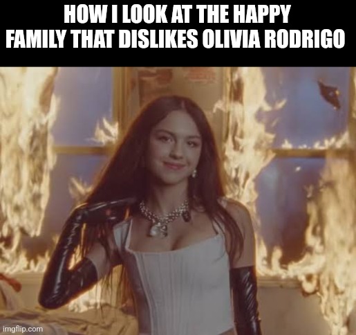 I didn't burn down their house /j | HOW I LOOK AT THE HAPPY FAMILY THAT DISLIKES OLIVIA RODRIGO | image tagged in olivia rodrigo | made w/ Imgflip meme maker