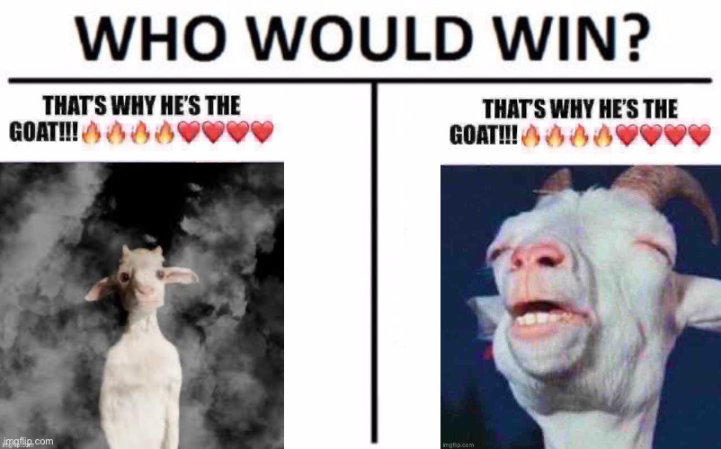 Who Would Win? | image tagged in memes,who would win | made w/ Imgflip meme maker