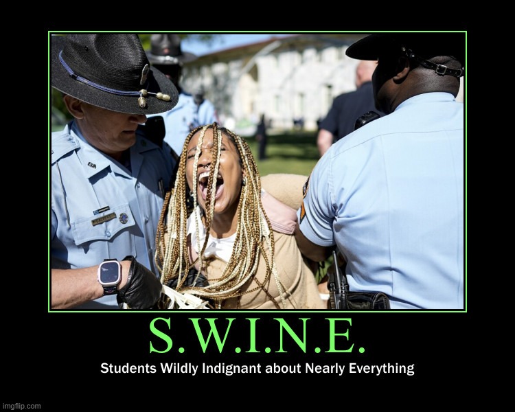 S.W.I.N.E. | image tagged in swine,college liberal,liberal college girl,triggered liberal,stupid liberals,goofy stupid liberal college student | made w/ Imgflip meme maker