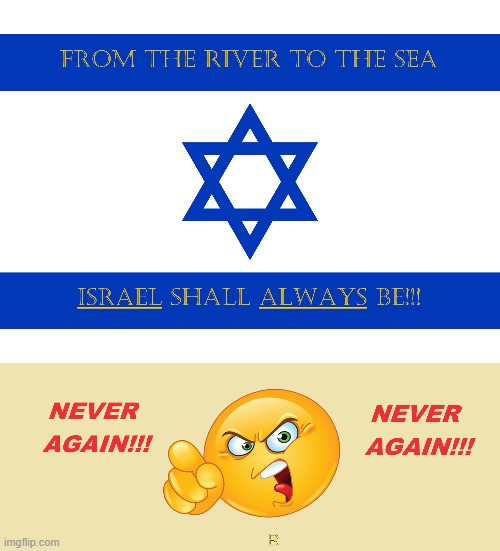 NEVER AGAIN!!!  NEVER AGAIN!!! | image tagged in israel,neo-nazis,terrorists,scumbags,pedophiles,muslims | made w/ Imgflip meme maker