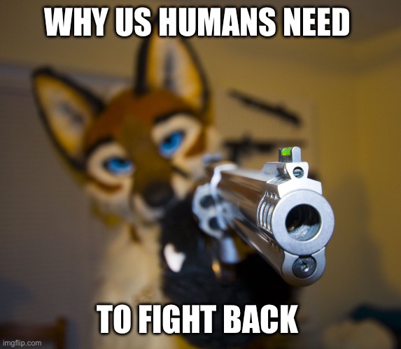 Furry with gun | WHY US HUMANS NEED; TO FIGHT BACK | image tagged in furry with gun | made w/ Imgflip meme maker