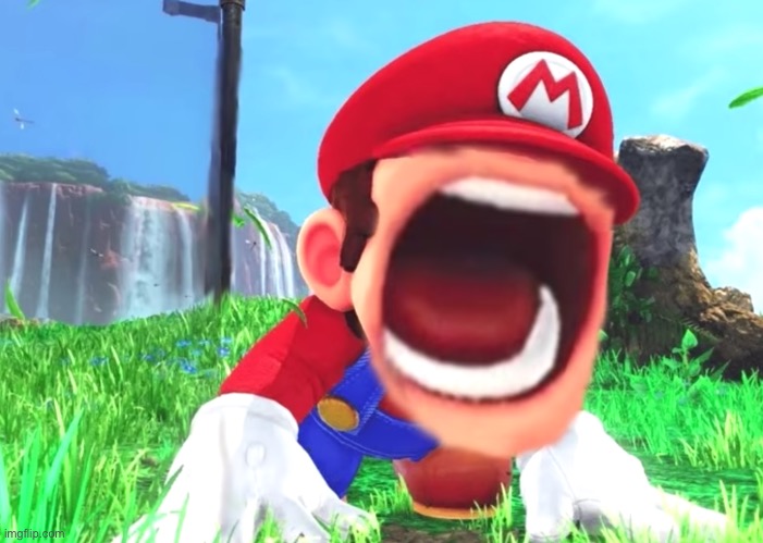 Mario screaming | image tagged in mario screaming | made w/ Imgflip meme maker