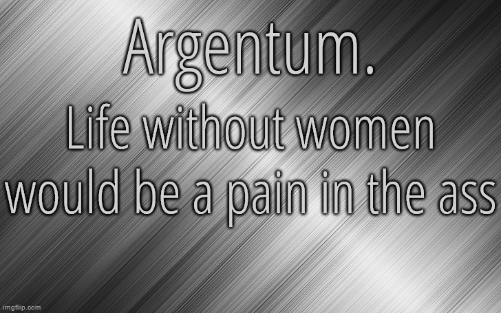 Silver Announcement Template 6.5 | Life without women would be a pain in the ass | image tagged in silver announcement template 6 5 | made w/ Imgflip meme maker