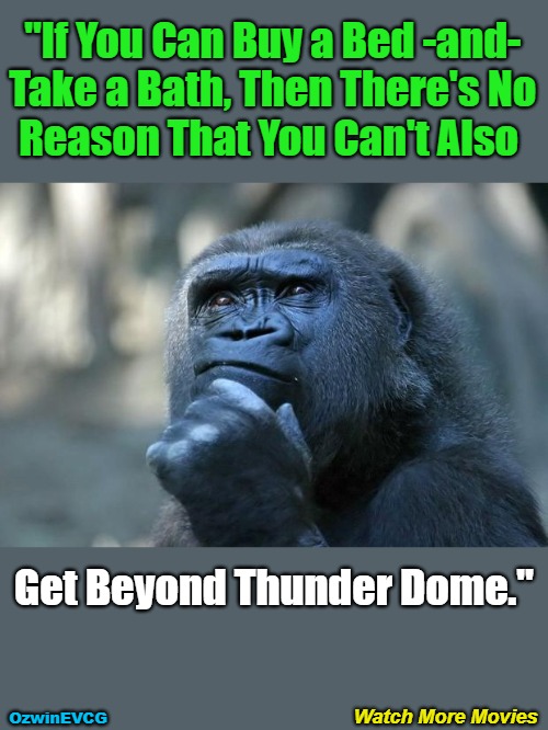 Watch More Movies | "If You Can Buy a Bed -and- 

Take a Bath, Then There's No 

Reason That You Can't Also; Get Beyond Thunder Dome."; Watch More Movies; OzwinEVCG | image tagged in deep thoughts,branching out,shopping,hygiene,advice,entertainment | made w/ Imgflip meme maker