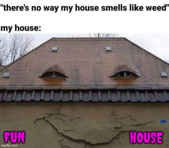 I always wanted to own a fun house | HOUSE; FUN | image tagged in fun,fun house | made w/ Imgflip meme maker