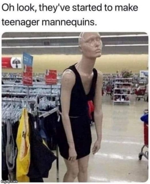 Mannequins are more life like than ever | image tagged in eye roll,life like,mannequins | made w/ Imgflip meme maker