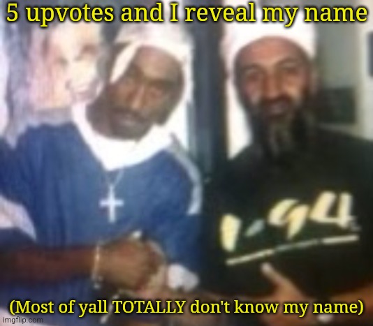 gang | 5 upvotes and I reveal my name; (Most of yall TOTALLY don't know my name) | image tagged in gang | made w/ Imgflip meme maker