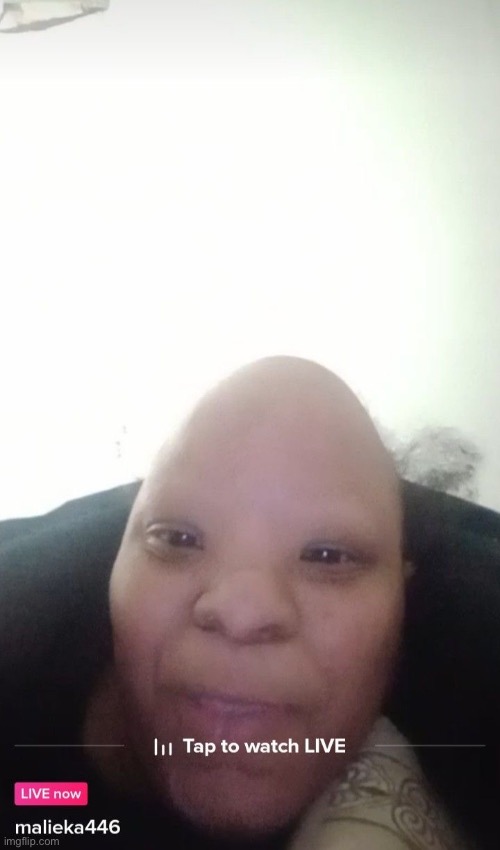 egghead type mf | made w/ Imgflip meme maker