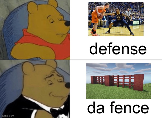 Da fence | defense; da fence | image tagged in memes,tuxedo winnie the pooh | made w/ Imgflip meme maker