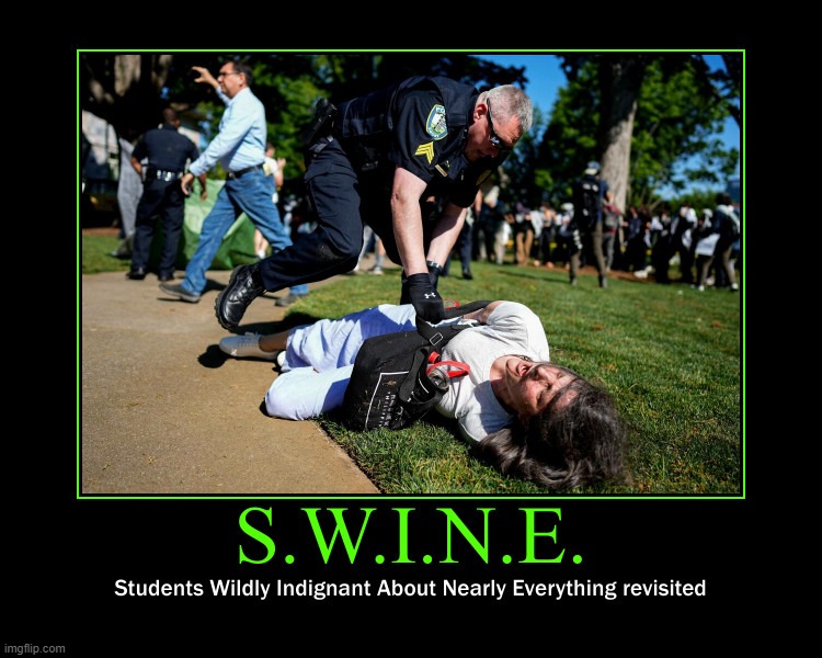 S.W.I.N.E. Revisited | image tagged in swine,college liberal,goofy stupid liberal college student,special education,special snowflake,triggered liberal | made w/ Imgflip meme maker