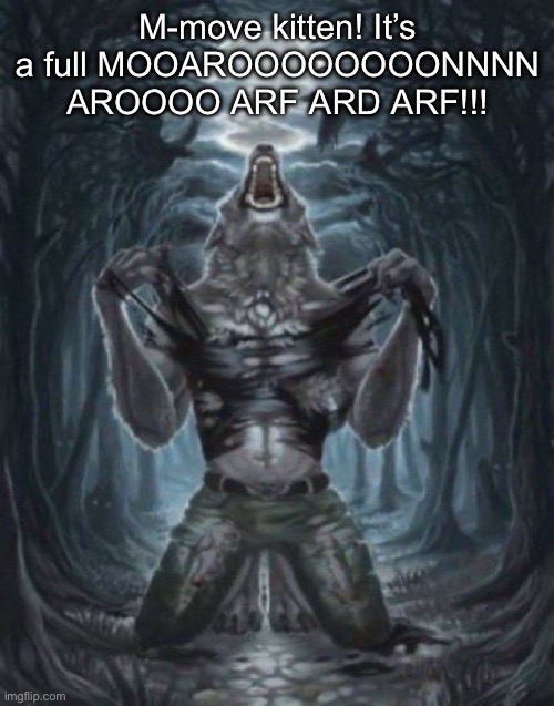 ….. | M-move kitten! It’s a full MOOAROOOOOOOONNNN AROOOO ARF ARD ARF!!! | image tagged in alpha wolf | made w/ Imgflip meme maker