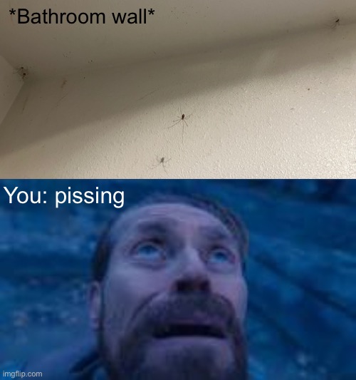 This bathroom fr | *Bathroom wall*; You: pissing | image tagged in man looking up | made w/ Imgflip meme maker