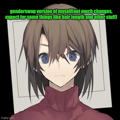 genderswap version of myself(not much changes, expect for some things like hair length and other stuff) | made w/ Imgflip meme maker