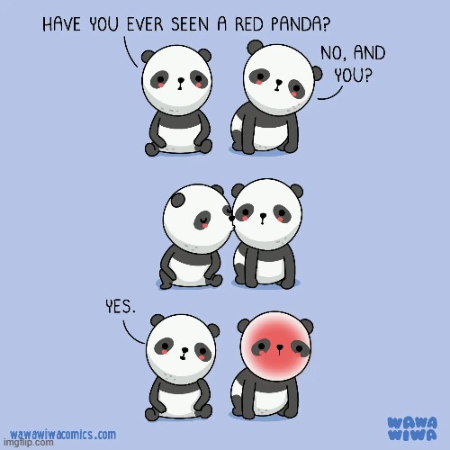 image tagged in pandas,kiss,blush,red panda | made w/ Imgflip meme maker