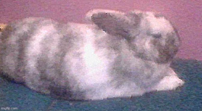 here he is, his name is Oreo btw | made w/ Imgflip meme maker