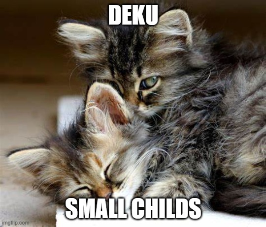 EhEhEH | DEKU; SMALL CHILDS | image tagged in overprotective kitten | made w/ Imgflip meme maker
