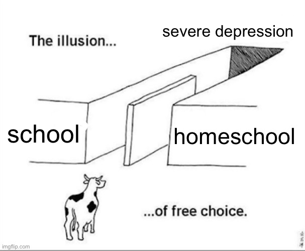 Illusion of free choice | severe depression; school; homeschool | image tagged in illusion of free choice | made w/ Imgflip meme maker