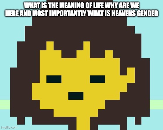 Frisk's face | WHAT IS THE MEANING OF LIFE WHY ARE WE HERE AND MOST IMPORTANTLY WHAT IS HEAVENS GENDER | image tagged in frisk's face | made w/ Imgflip meme maker