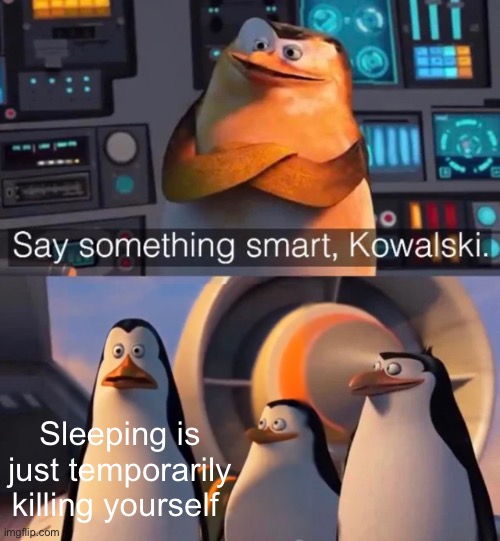 Say something smart Kowalski | Sleeping is just temporarily killing yourself | image tagged in say something smart kowalski | made w/ Imgflip meme maker